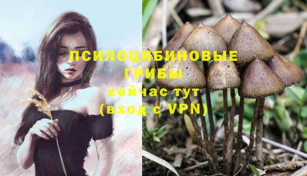 герыч Майский