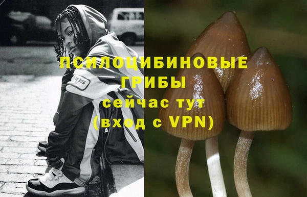 стафф Магадан