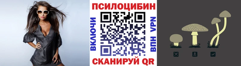 Псилоцибиновые грибы Psilocybine cubensis  Невьянск 